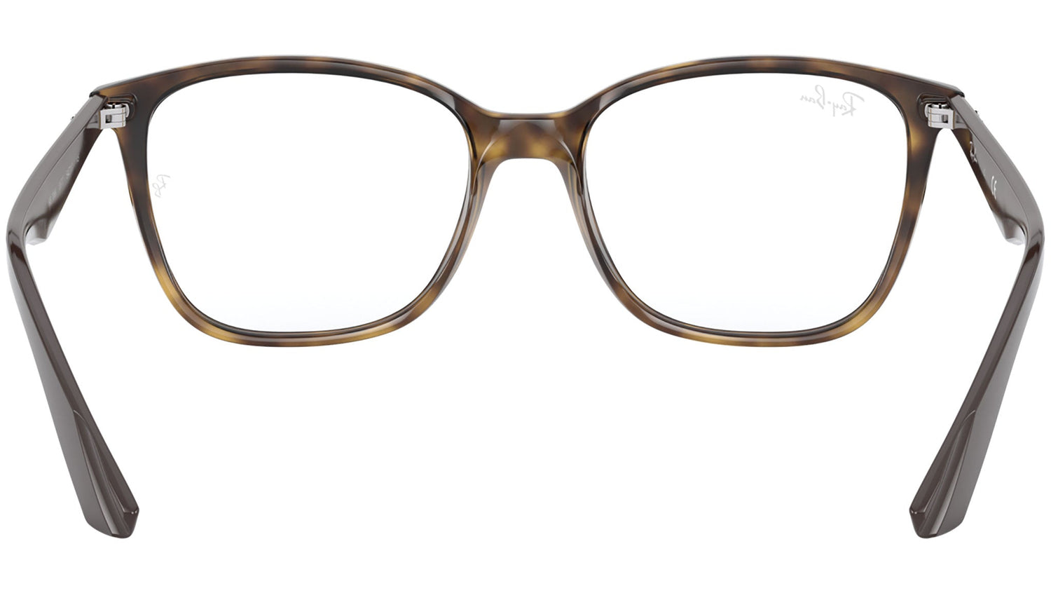 RB7066 shiny havana