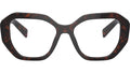 PR A07V 16N1O1 Tortoise