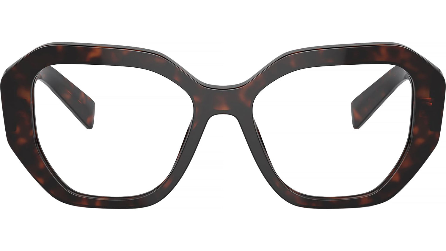 PR A07V 16N1O1 Tortoise