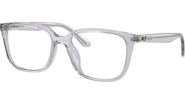 RB7248D Optics 8411