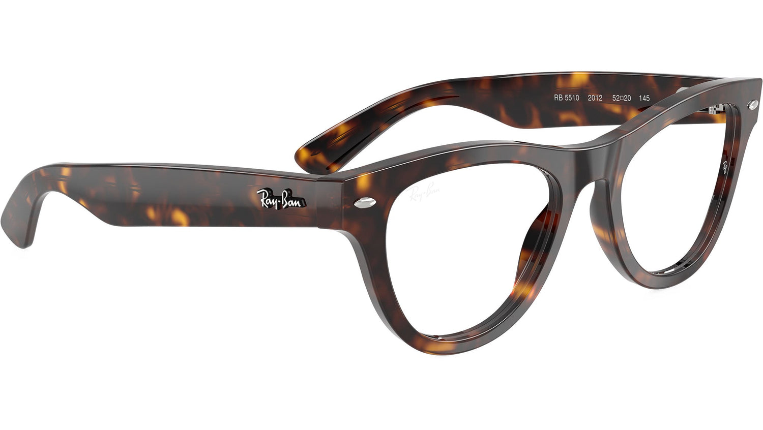 RB5510 Optics 2012