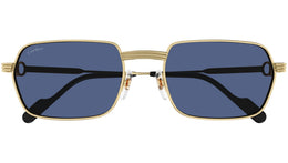 CT0463S 003 Gold Blue