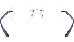 RB8765 Optics 1216