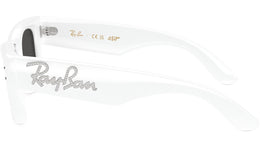 Wayfarer Puffer RB4940B 686387