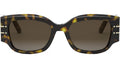 DiorSignature 13I Shiny Havana Geometric Sunglasses