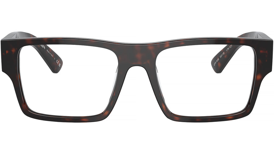 PR A08V 17N1O1 Tortoise