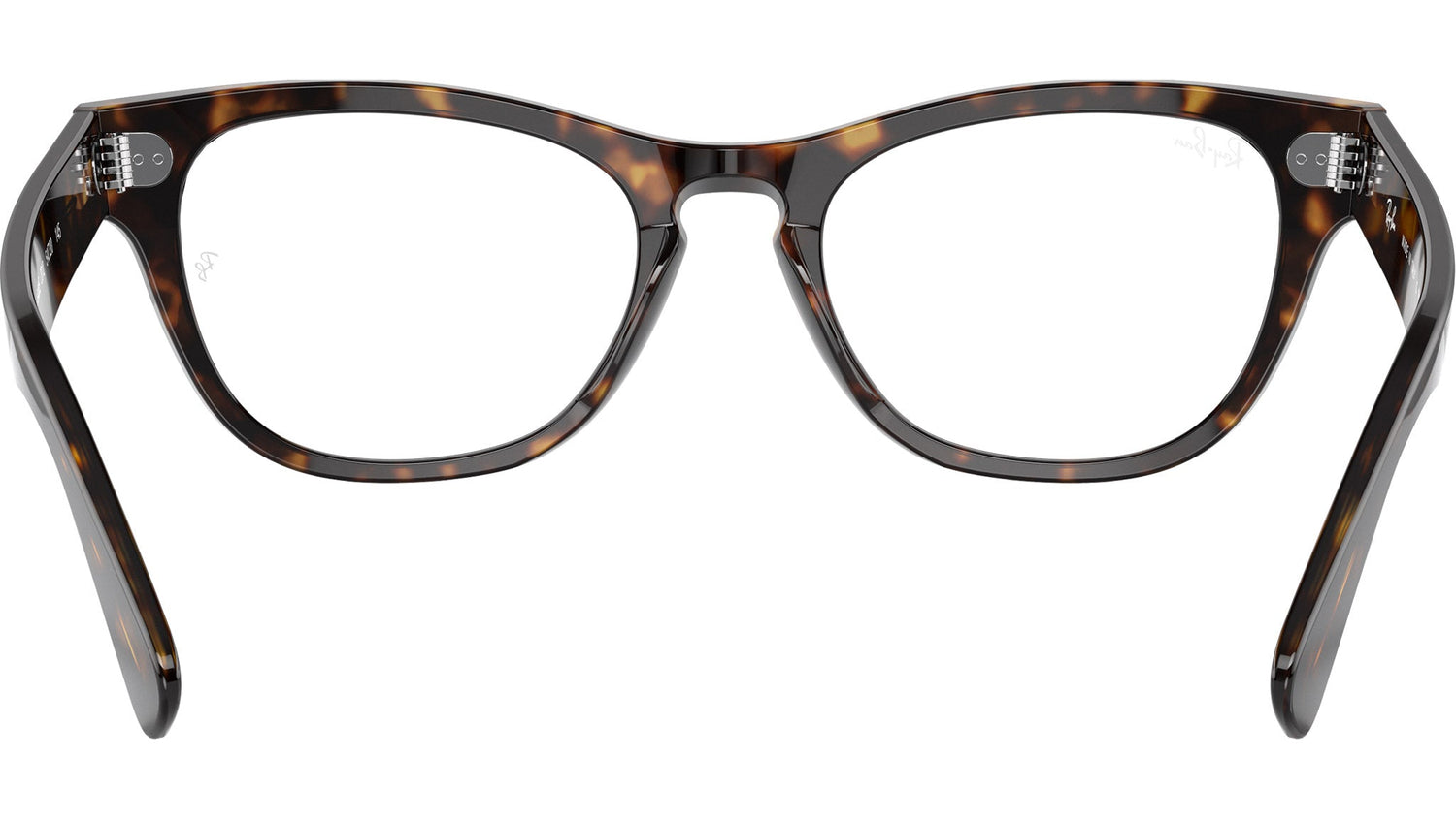 Laramie Optics RB2201V 2012