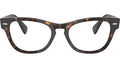 Laramie Optics RB2201V 2012