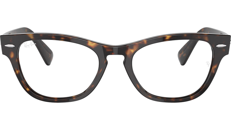 Laramie Optics RB2201V 2012