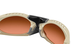 Plantaris OO9437 02