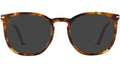 PO3316S 110248 tortoise