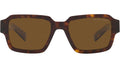 PR 02ZS tortoise