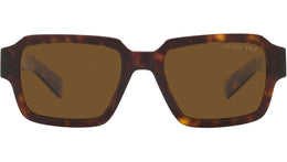 PR 02ZS tortoise