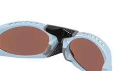 Plantaris OO9437 04