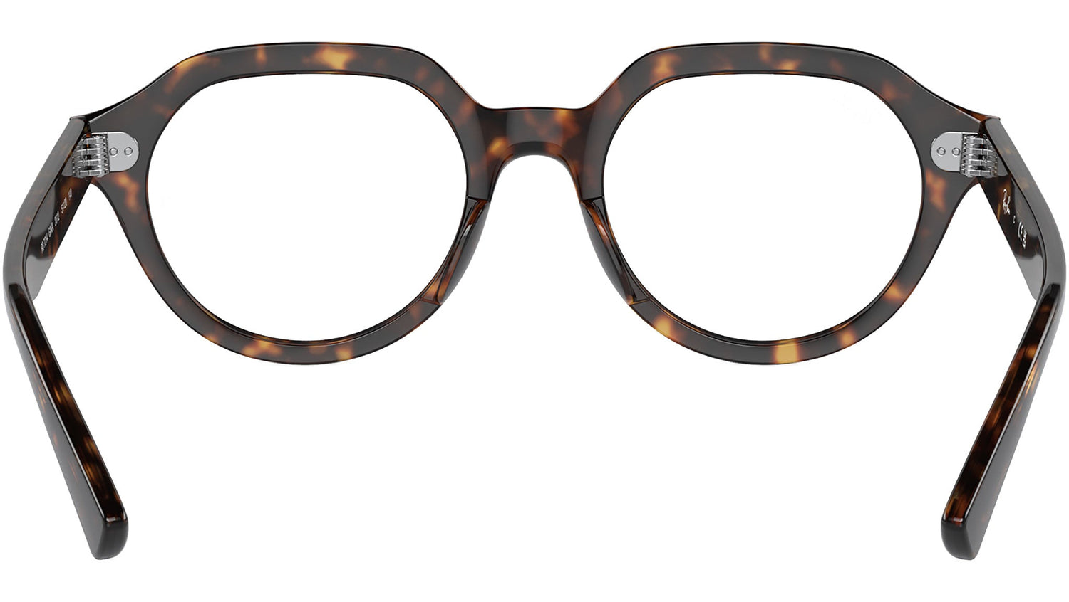 Gina Optics RB7214 2012