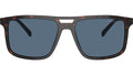 PR A22S 17N06A Tortoise