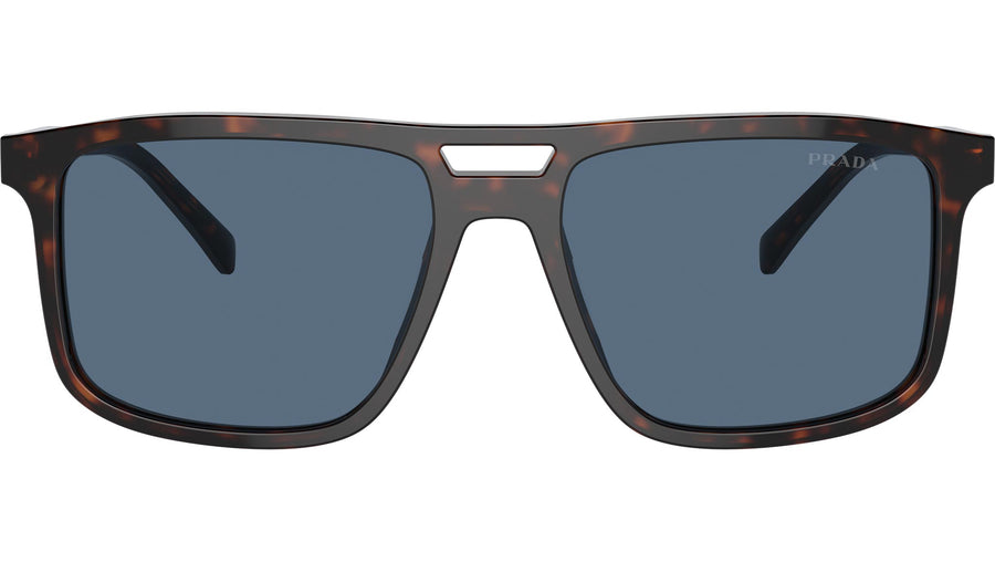 PR A22S 17N06A Tortoise