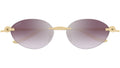 CT0504S 004 Gold Purple