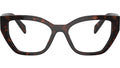 PR A16V 17N1O1 Tortoise