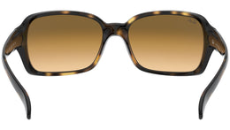RB4068 tortoise