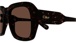 CH0310S 002