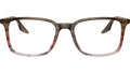 RB5421 Optics 8251
