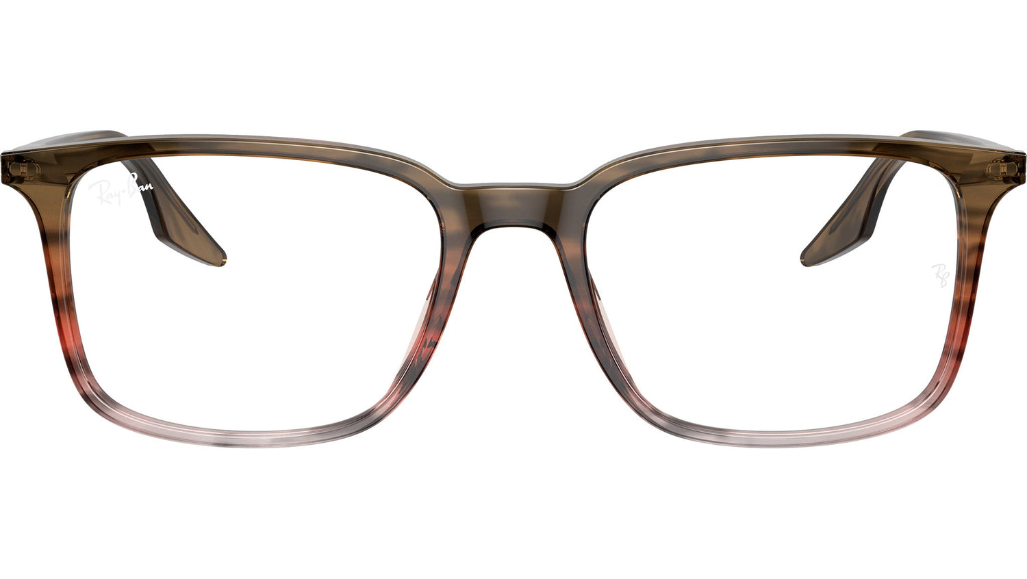RB5421 Optics 8251