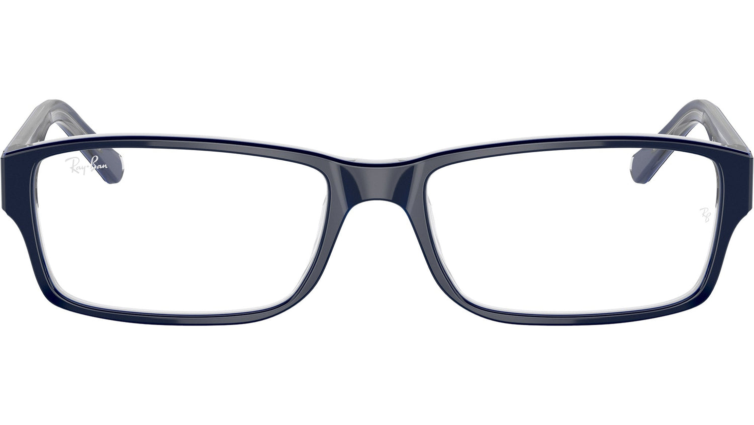 RB5169 Optics 5815