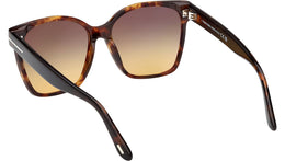 Iris-02 FT1312 55B