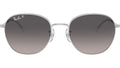 RB3809 003/M3 Silver