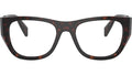 PR A18V 17N1O1 Tortoise