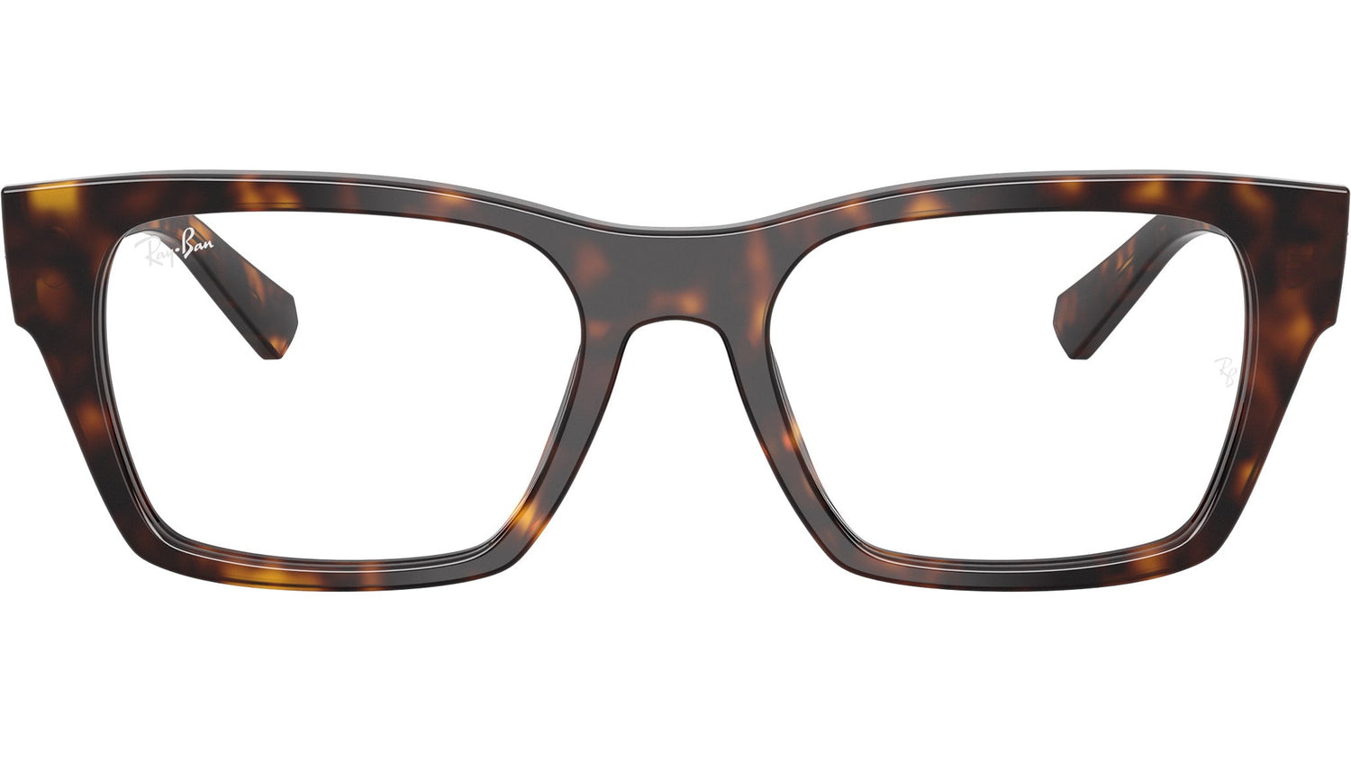 RB5448 Optics 2012