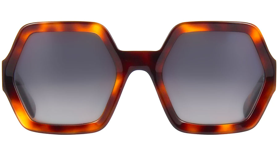 CELINE 3 Dots Havana Geometric Sunglasses