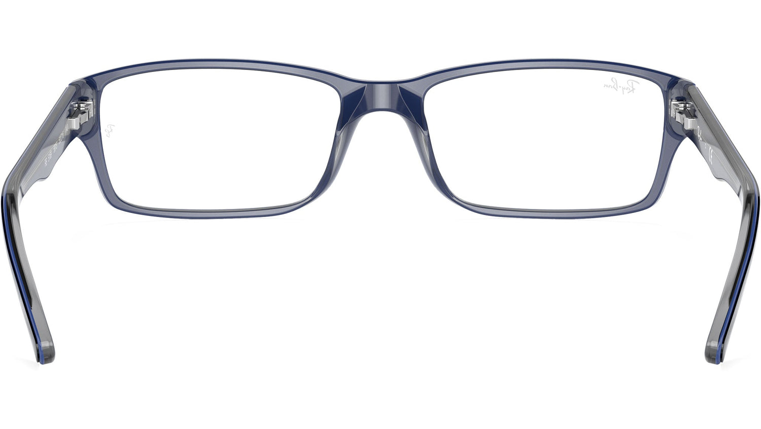 RB5169 Optics 5815