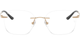 RB8783D Optics 1248