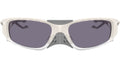Plantaris SQ OO9529 02