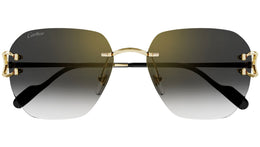 CT0394S 001 shiny gold