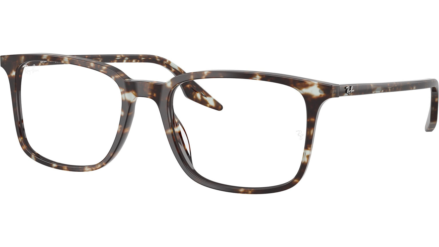 RB5421 Optics 8425