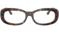 RB2221V Optics 2012