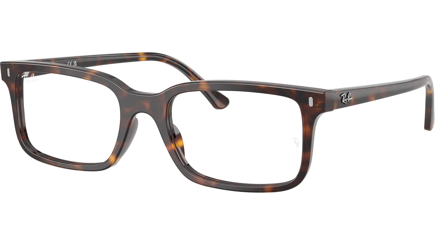 RB5445 Optics 2012