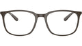 RB7199 Optics 8063
