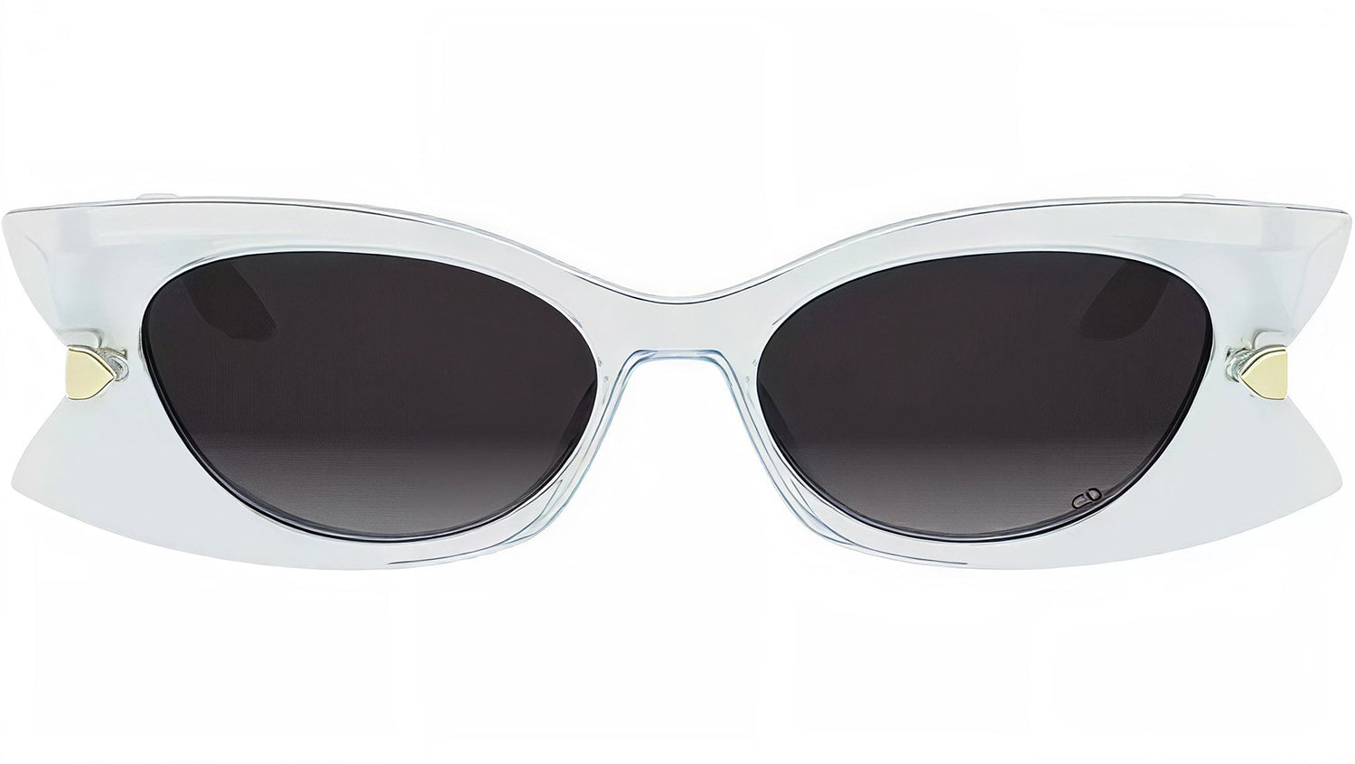 DiorButterfly S2I Transparent Blue Butterfly Sunglasses