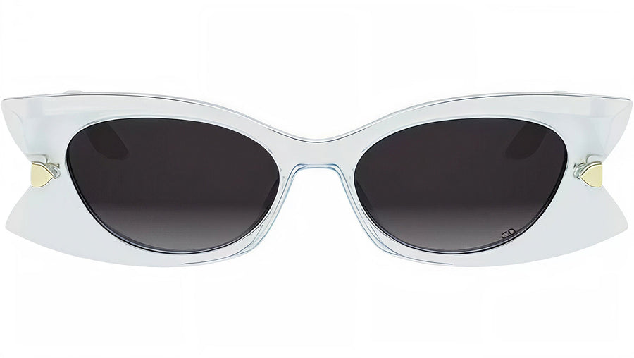 DiorButterfly S2I Transparent Blue Butterfly Sunglasses