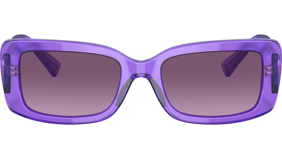 VA4108 52138H purple