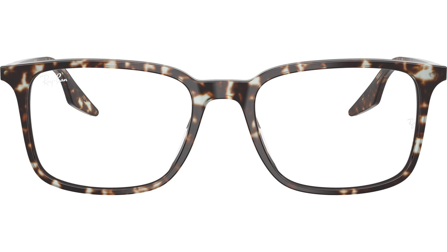 RB5421 Optics 8425