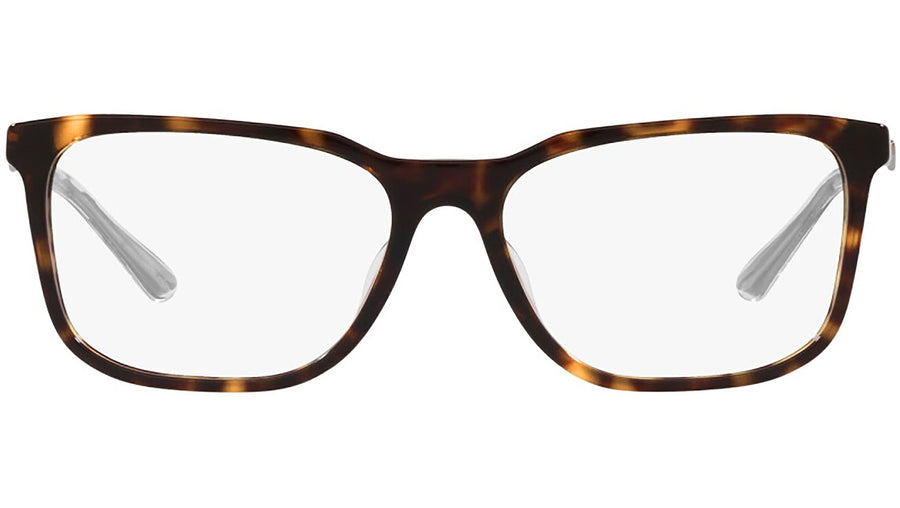 PR 05ZV tortoise