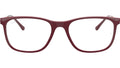 RB7244 Optics 8099