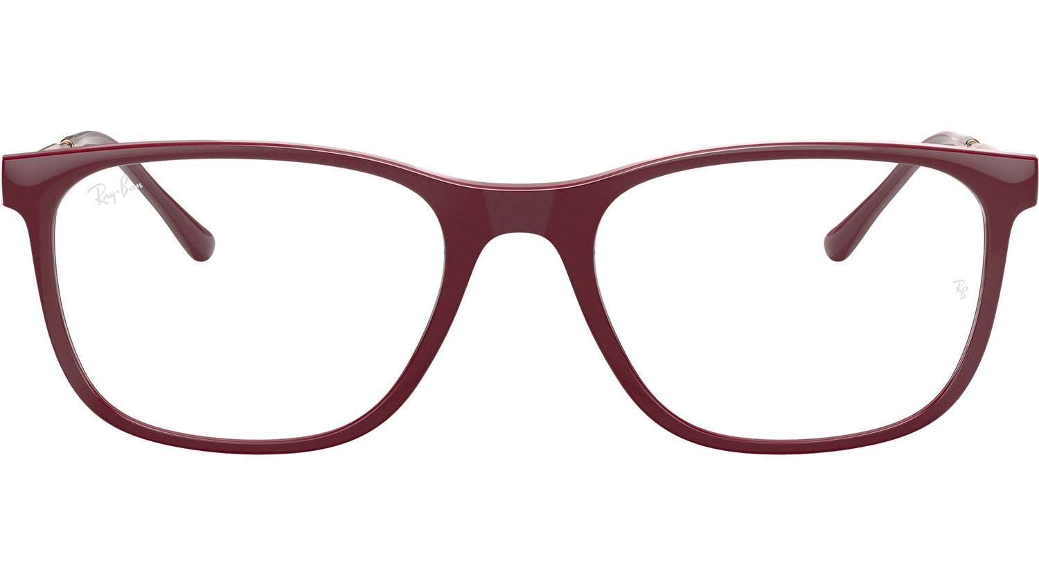 RB7244 Optics 8099