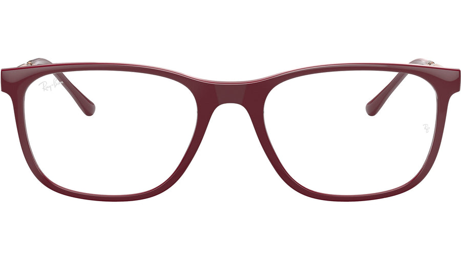 RB7244 Optics 8099