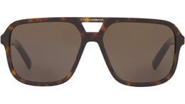 DG 4354 502/73 tortoise